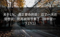 关于17c，真正要命的是：忍了一天还是想说：别再被带节奏了（顺带提一下17c1）
