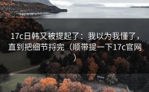 17c日韩又被提起了：我以为我懂了，直到把细节捋完（顺带提一下17c官网）