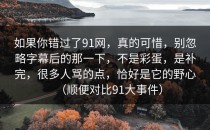 如果你错过了91网，真的可惜，别忽略字幕后的那一下，不是彩蛋，是补完，很多人骂的点，恰好是它的野心（顺便对比91大事件）