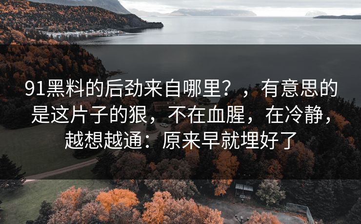 91黑料的后劲来自哪里?,有意思的是这片子的狠,不在血腥,在冷静,越想越通:原来早就埋好了 91黑料的后劲来自哪里?,有意思的是这片子的狠,不在血腥,在冷静,越想越通:原来早就埋好了