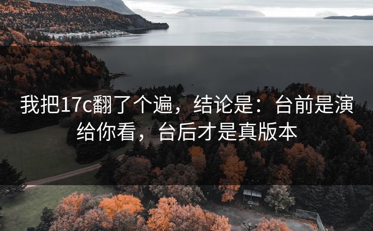 我把17c翻了个遍，结论是：台前是演给你看，台后才是真版本  第1张