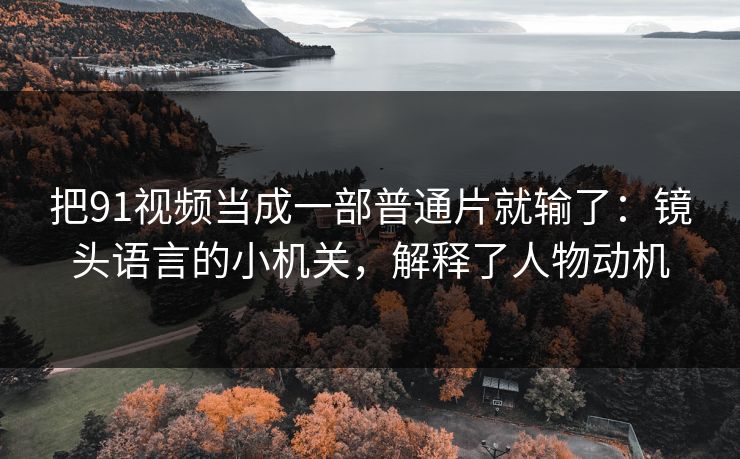 把91视频当成一部普通片就输了：镜头语言的小机关，解释了人物动机  第1张